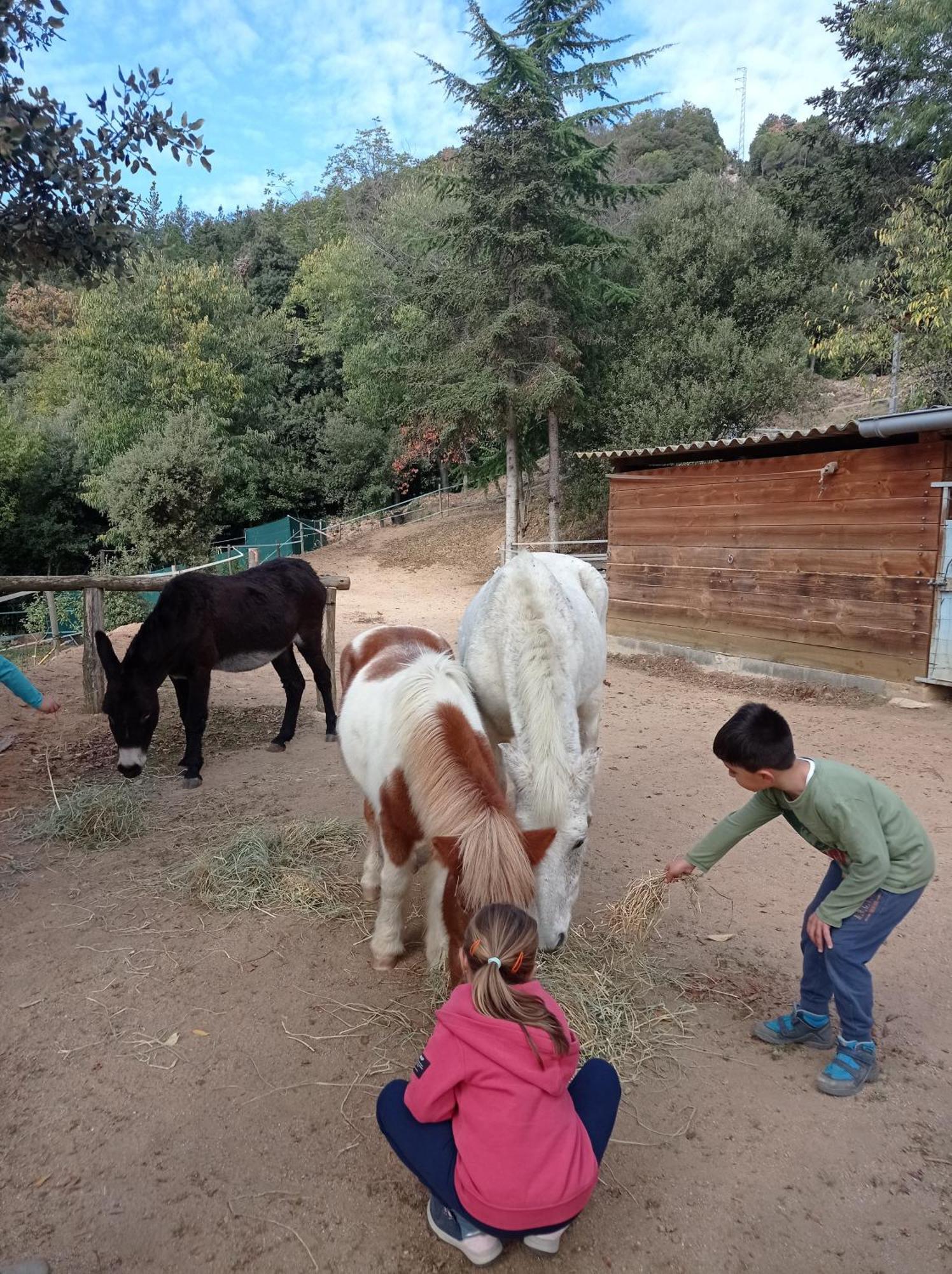 Apartamento En Pleno Montseny Mas Romeu Turisme Rural Arbúcies 외부 사진