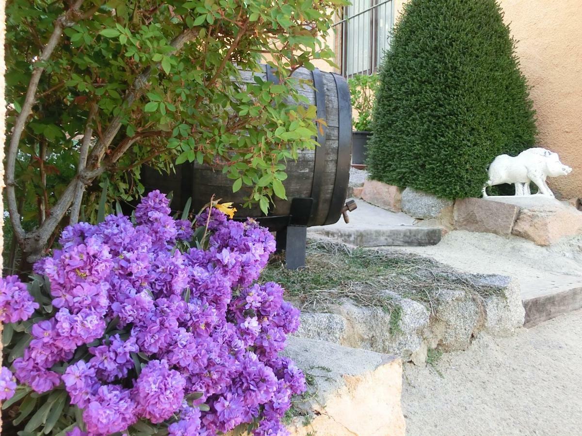 Apartamento En Pleno Montseny Mas Romeu Turisme Rural Arbúcies 외부 사진