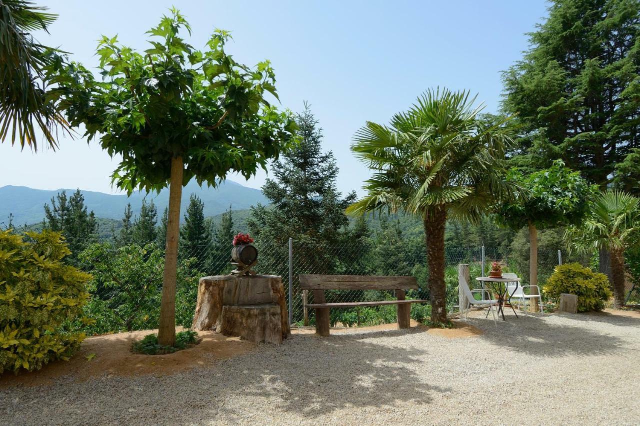 Apartamento En Pleno Montseny Mas Romeu Turisme Rural Arbúcies 외부 사진